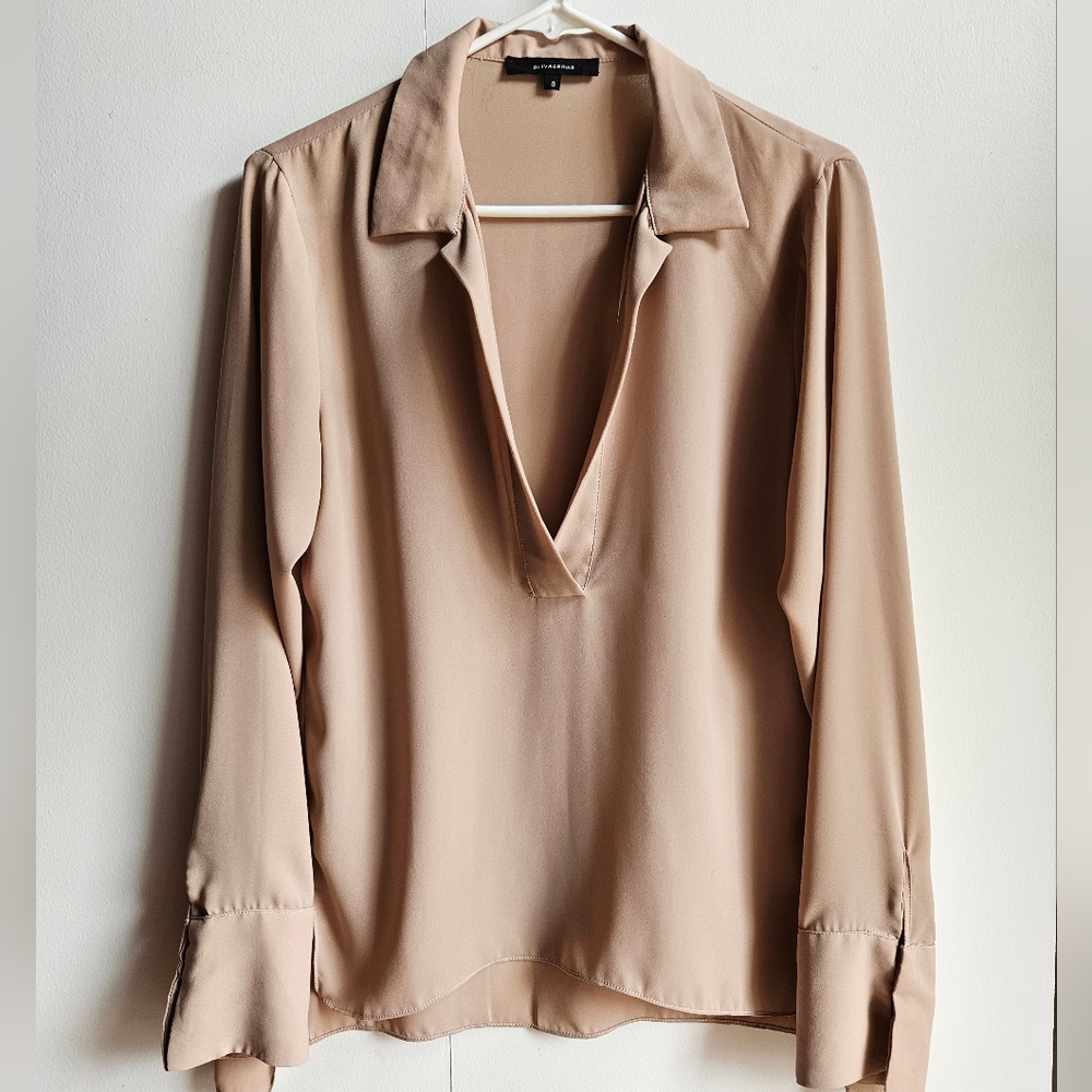 Olivaceous Collared V-Neck Blouse in Women's Small